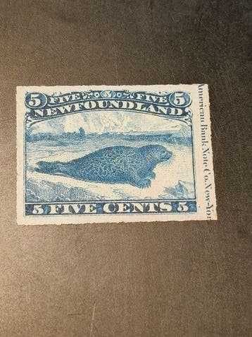 Newfoundland - Nieuwfoundland 5 cent 1879, plaatproef -, Gestempeld