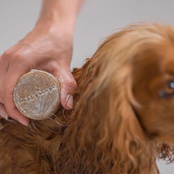 HappySoaps Honden Lange Vacht Shampoo Bar - 70g, Ophalen of Verzenden, Nieuw, Shampoo of Conditioner