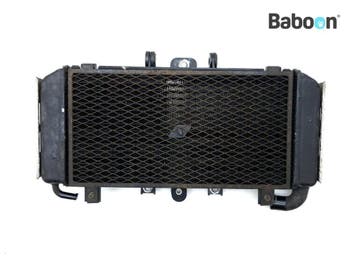 Radiateur Yamaha FZS 600 Fazer 2002-2003 (FZS600), Verzenden, Gebruikt