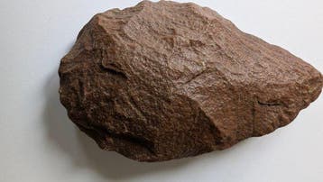Paleolithisch Kwartsiet Hand axe - 165 mm, Verzamelen, Mineralen en Fossielen