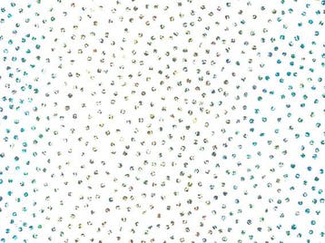 cadeaupapier op rol Confetti Wit 70 cm – Inpakpapier -, Ophalen of Verzenden, Nieuw, Overige typen