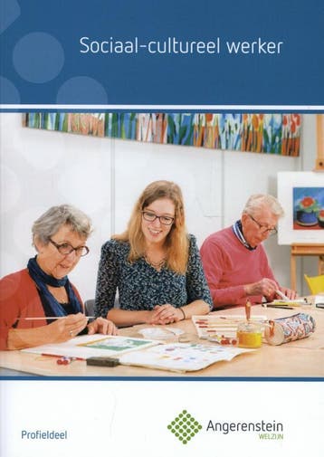 Sociaal cultureel werk Profieldeel 9789037229714, Verzenden, Zo goed als nieuw