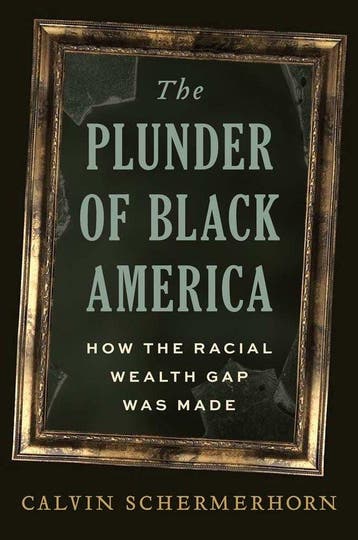 9780300258950 The Plunder of Black America, Verzenden, Nieuw, Calvin Schermerhorn