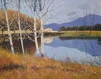 Antonio Sadurní (1927-2014) - LEstany de Banyoles