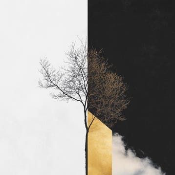Jorge Omeñaca - Tree clock