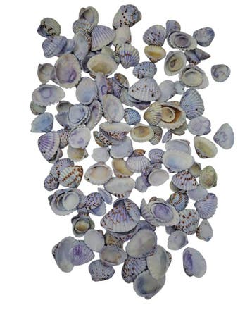 Tiger Chippy Schelpen Blauw 500 gram, Ophalen of Verzenden, Nieuw
