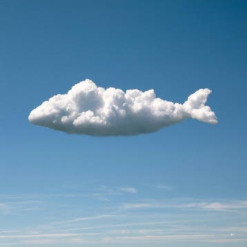 David Law - Magic Clouds - The Whale II
