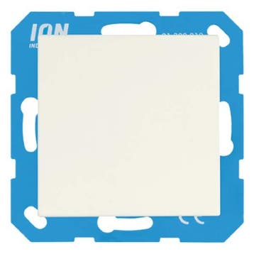 Blindplaat | ION Industries | E1 (Mat wit), Doe-het-zelf en Verbouw, Verzenden, Nieuw