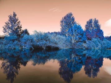 Viet Ha Tran - Nature and Seasons VI