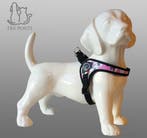 Speciale Teckeltuigen bij Treponti.nl, Standaard, Nederland, 15 weken tot 1 jaar, Handelaar