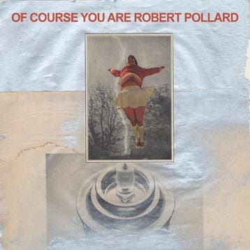 Robert Pollard - Of Course You Are - LP, Verzenden, Nieuw in verpakking