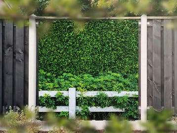 NR 1405: Tuinposter Hedera met hek 180x180cm, Tuin en Terras, Nieuw