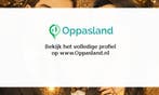 Familie zoekt een oppas in Alkmaar voor 1 kind voor 5 dag...