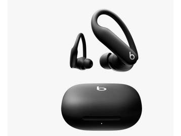 Beats Powerbeats Pro - Draadloze oordopjes - Zwart, Verzenden, Zo goed als nieuw