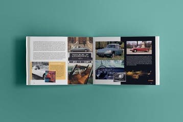 Citroensap 3 - bijzondere faits divers uit de geschiedenis, Boeken, Verzenden, Zo goed als nieuw, Thijs van der Zanden