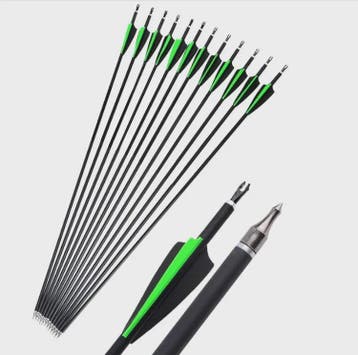 Set Carbon Pijlen SP500 - 6/12 Stuks - Verwisselbare Punts -, Verzenden, Nieuw