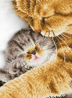 Diamond Dotz diamond painting - Ten van €46,99 voor €23,50, Ophalen of Verzenden, Nieuw