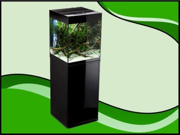 Aquael Glossy 50 zwart aquarium set inclusief Glossy meubel, Verzenden, Nieuw