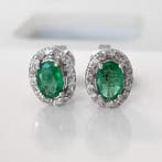 Zonder minimumprijs - Oorbellen - 14 karaat Zambia, Witgoud, Nieuw