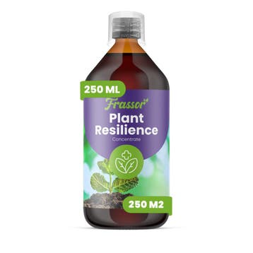 Frassor Plant Weerbaarheidsconcentraat - 250 ml voor 250 ml, Verzenden, Nieuw