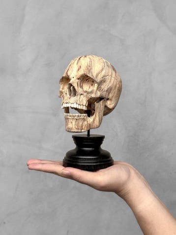 Snijwerk, Wooden Human Skull With a beautiful grain on a