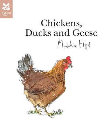 Chickens Ducks & Geese - Madeleine Floyd 9781907892318, Verzenden, Gelezen, Madeleine Floyd