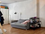 Kamer Lage Barakken in Maastricht, Overige soorten, Limburg