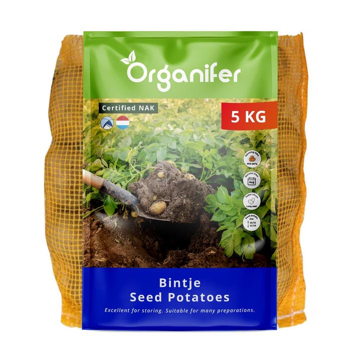 Pootaardappelen Bintje A 28/35 (5 kg), Tuin en Terras, Bloembollen en Zaden, Gehele jaar, Volle zon, Verzenden