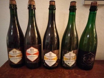 De Cam - Diverse ales - zie beschrijving - 75cl - 5 flessen, Nieuw