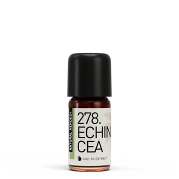 Echinacea Purpurea CO2 Extract, Verzenden, Nieuw, Bodylotion, Crème of Olie