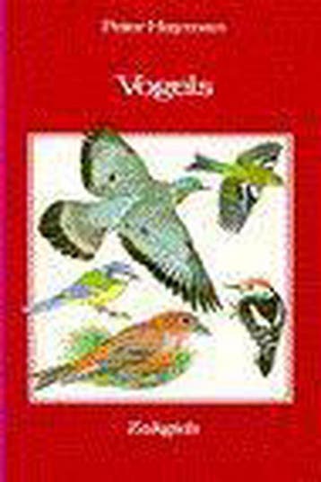 ZAKGIDS VOGELS - Peter Hayman 9789021522821, Boeken, Verzenden, Gelezen, Peter Hayman