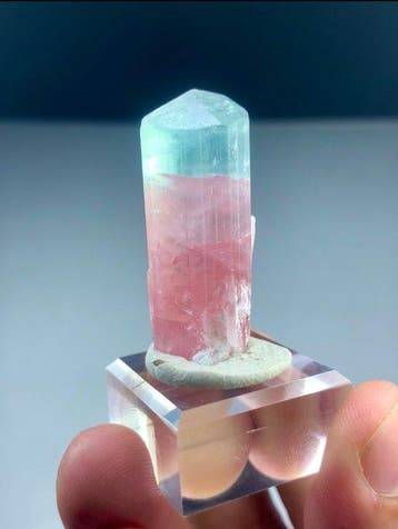 Bicolore tourmalijn Kristal - Hoogte: 41 mm - Breedte: 15