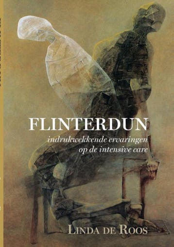 Flinterdun - Linda de Roos 9789464060454, Verzenden, Gelezen, Linda de Roos
