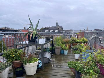 Te huur: Studio Gedempte Oude Gracht in Haarlem, Noord-Holland, Haarlem