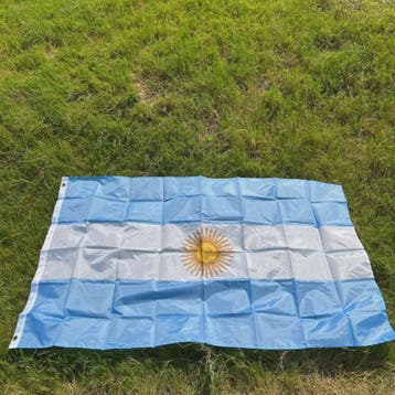 Argentijnse Vlag 90x150cm - Duurzaam Polyester met Zon van M, Verzenden, Nieuw