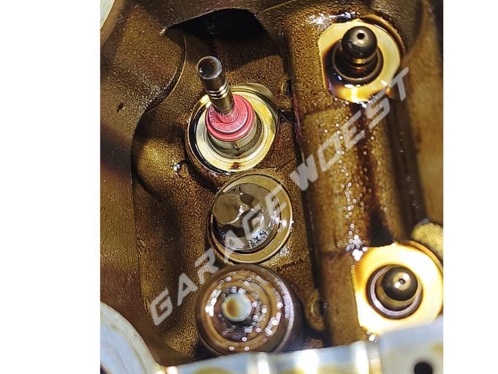 BMW blauwe rook of hoog olieverbruik? Klepseals specialist, Diensten en Vakmensen, Auto en Motor | Monteurs en Garages, Garantie