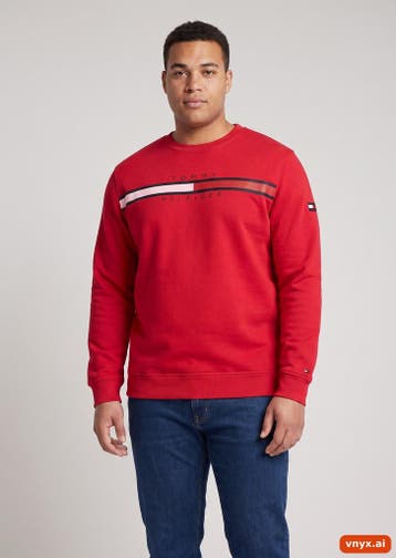 Tommy Hilfiger Sweatshirts Heren maat L Rood Vintage, Ophalen of Verzenden, Nieuw, Tommy Hilfiger