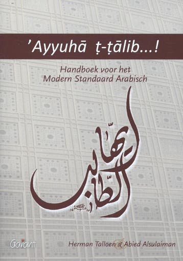 Ayyuha t-talib ... ! 9789044129854 Herman Talloen, Verzenden, Zo goed als nieuw, Herman Talloen