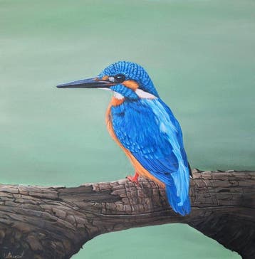 Donatella Ramazzotti - Martin pescatore, Antiek en Kunst, Kunst | Schilderijen | Modern