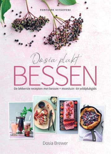Dosia plukt bessen - Dosia Brewer 9789464040425, Verzenden, Zo goed als nieuw, Dosia Brewer