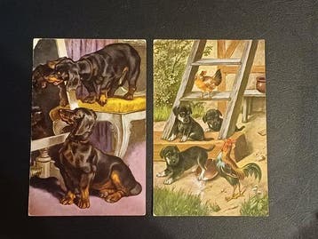 Fantasie - Honden & Katten, illustratoren - Ansichtkaart, Gelopen