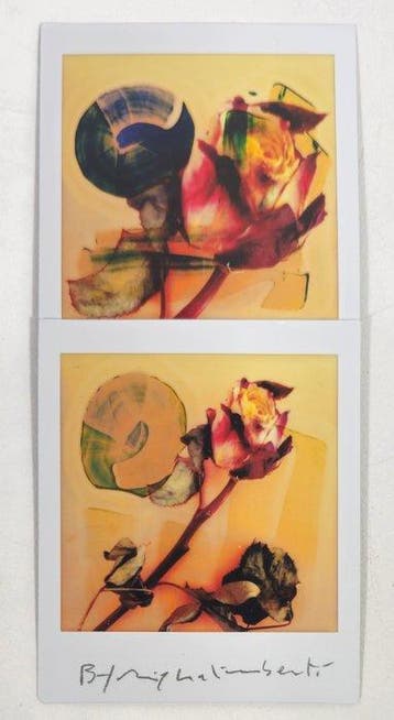 Maurizio Galimberti (1956–) - BiFlowers - 11574