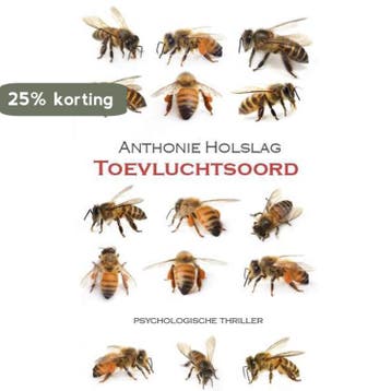 Toevluchtsoord - Anthonie Holslag 9789492099211, Verzenden, Zo goed als nieuw, Anthonie Holslag