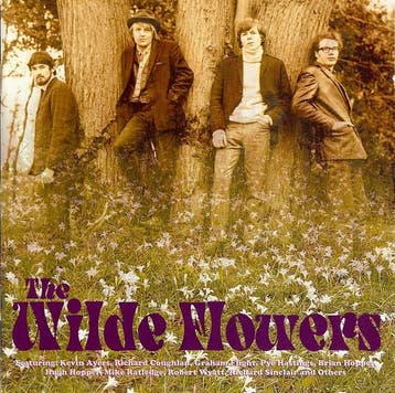 cd - The Wilde Flowers - The Wilde Flowers, Verzenden, Zo goed als nieuw