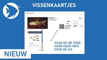 Twente aanbieding Kardinaaltetra 8 voor  7.99 alleen afhalen, Dieren en Toebehoren, Vis, Zoetwatervis, Schoolvis