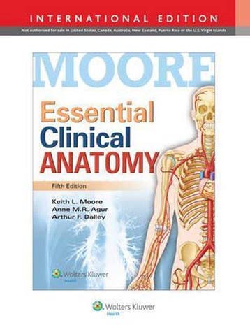 9781469832012 Essential Clinical Anatomy 5e Internatio, Boeken, Verzenden, Zo goed als nieuw, Keith L. Moore