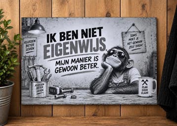 Grappig aluminium wandbord 30x20 – Eigenwijs – eigen ontwerp, Eigen ontwerp, Vintage, Nieuw, Wandbord of Wandpaneel