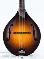 Collings MT Mandolin (Instrument,Collings Guitars,A-Style), Ophalen of Verzenden, Nieuw