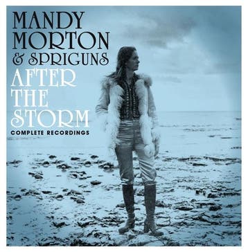 cd - mandy morton &amp; spriguns - AFTER THE STORM - COMP..., Verzenden, Zo goed als nieuw