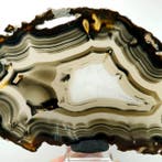 Agaat zebra - Rio Grande do Sul, Parana Traps, Brazilië -